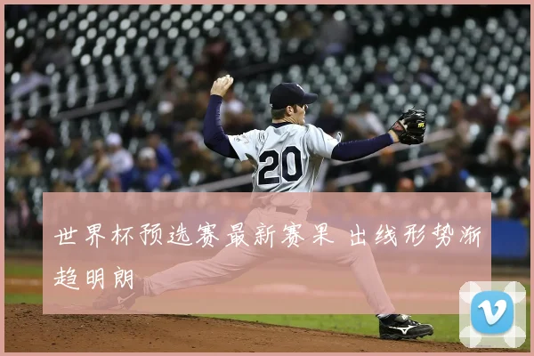 世界杯预选赛最新赛果 出线形势渐趋明朗