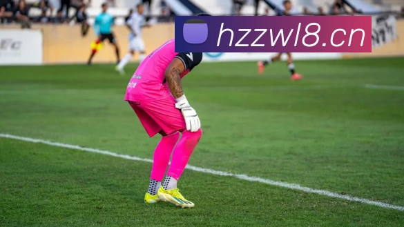 数据防护可视化